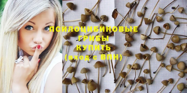 бутират Алексин