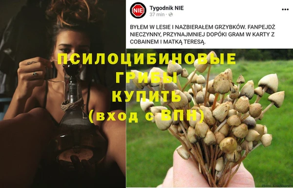 бутират Алексин