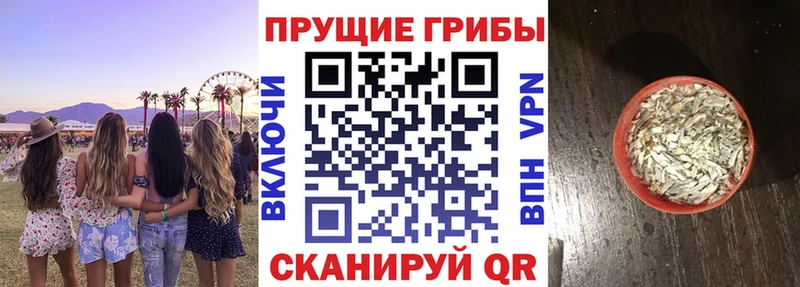 даркнет сайт  кракен зеркало  Галлюциногенные грибы Cubensis  Покров 